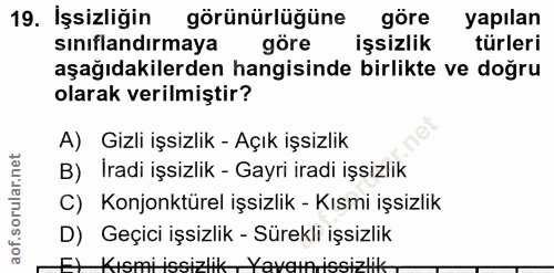 19. soru: İşsizliğin görünürlüğüne göre yapılan sınıflandırmaya gore işsizlik türleri aşağıdakilerden hangisinde birlikte ve do…