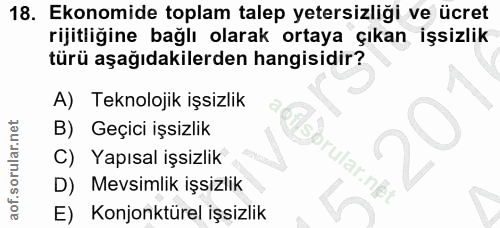 18. soru: Ekonomide toplam talep yetersizliği ve ücret rijitliğine bağlı olarak ortaya çıkan işsizlik türü aşağıdakilerden hang…