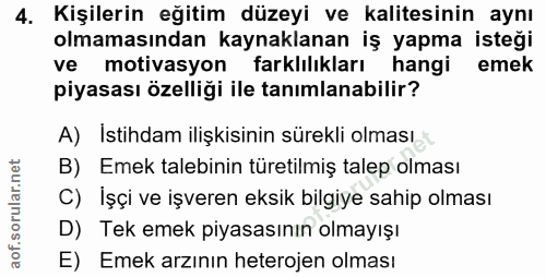 4. soru: Kişilerin eğitim düzeyi ve kalitesinin aynı olmamasından kaynaklanan iş yapma isteği ve motivasyon farklılıkları hang…