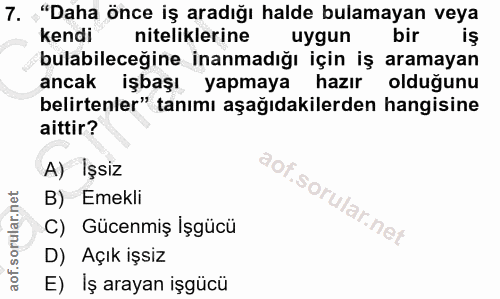 7. soru: "Daha önce iş aradığı halde bulamayan veya kendi niteliklerine uygun bir iş bulabileceğine inanmadığı için iş aramaya…