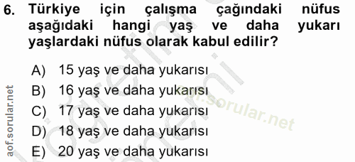 6. soru: Türkiye için çalışma çağındaki nüfus aşağıdaki hangi yaş ve daha yukarı yaşlardaki nüfus olarak kabul edilir? A) 15 y…