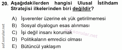20. soru: Aşağıdakilerden hangisi Ulusal İstihdam Stratejisi ilkelerinden biri değildir? A) Işverenler üzerine ek yük getirilme…