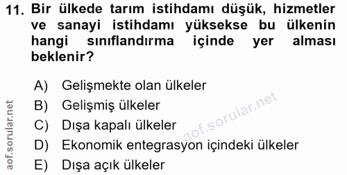 11. soru: Bir ülkede tarım istihdamı düşük, hizmetler ve sanayi istihdamı yüksekse bu ülkenin hangi sınıflandırma içinde yer al…