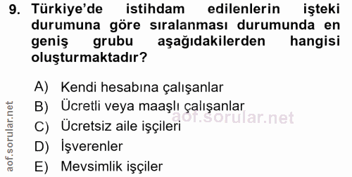 9. soru: Türkiye'de istihdam edilenlerin işteki durumuna göre sıralanması durumunda en geniş grubu aşağıdakilerden hangisi olu…