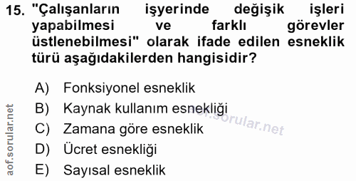 15. soru: "Çalışanların işyerinde değişik işleri yapabilmesi ve farklı görevler üstlenebilmesi" olarak ifade edilen esneklik tü…