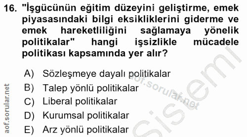 16. soru: "İşgücünün eğitim düzeyini geliştirme, emek piyasasındaki bilgi eksikliklerini giderme ve emek hareketliliğini sağlam…