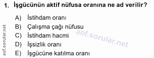 1. soru: Işgücünün aktif nüfusa oranına ne ad verilir? A) İstihdam oranı B) Çalışma çağı nüfusu C) Istihdam hacmi D) Işsizlik…
