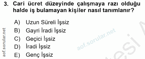3. soru: Cari ücret düzeyinde çalışmaya razı olduğu halde iş bulamayan kişiler nasıl tanımlanır? A) Uzun Süreli Işsiz B) Gayri…
