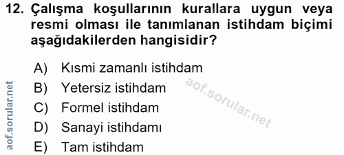12. soru: Çalışma koşullarının kurallara uygun veya resmi olması ile tanımlanan istihdam biçimi aşağıdakilerden hangisidir? A)…