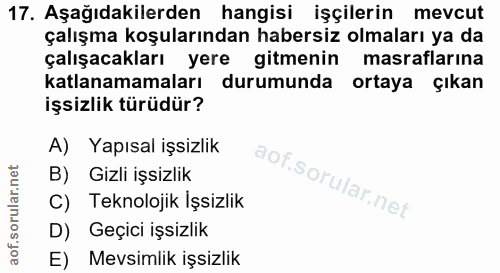 17. soru: Aşağıdakilerden hangisi işçilerin mevcut çalışma koşularından habersiz olmaları ya da çalışacakları yere gitmenin mas…