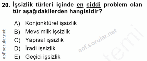 20. soru: İşsizlik türleri içinde en ciddi problem olan tür aşağıdakilerden hangisidir? A) Konjonktürel işsizlik B) Mevsimlik i…