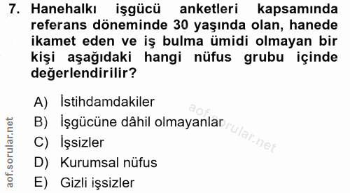 7. soru: Hanehalkı işgücü anketleri kapsamında referans döneminde 30 yaşında olan, hanede ikamet eden ve iş bulma ümidi olmaya…