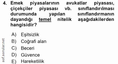 4. soru: Emek piyasalarının avukatlar piyasası, çiçekçiler piyasası vb. sınıflandırılması durumunda yapılan sınıflandırmanın d…