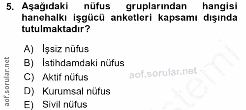 5. soru: Aşağıdaki nüfus gruplarından hangisi hanehalkı işgücü anketleri kapsamı dışında tutulmaktadır? A) İşsiz nüfus B) isti…