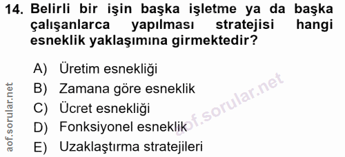 14. soru: Belirli bir işin başka işletme ya da başka çalışanlarca yapılması stratejisi hangi esneklik yaklaşımına girmektedir?…