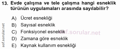 13. soru: Evde çalışma ve tele çalışma hangi esneklik türünün uygulamaları arasında sayılabilir? A) Ucret esnekliği B) Sayısal…