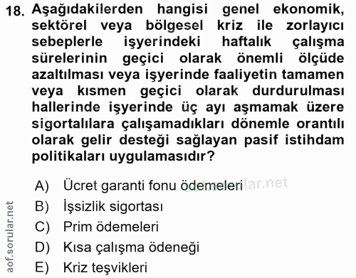 18. soru: Aşağıdakilerden hangisi genel ekonomik, sektörel veya bölgesel kriz ile zorlayıcı sebeplerle işyerindeki haftalık çal…