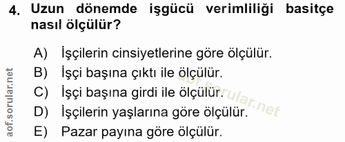 4. soru: Uzun dönemde işgücü verimliliği basitçe nasıl ölçülür? A) İşçilerin cinsiyetlerine göre ölçülür. B) İşçi başına çıktı…