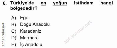 6. soru: Türkiye'de en yoğun istihdam hangi bölgededir? A) Ege B) Doğu Anadolu C) Karadeniz D) Marmara E) Iç Anadolu
