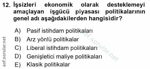 12. soru: Işsizleri ekonomik olarak desteklemeyi amaçlayan işgücü piyasası politikalarının genel adı aşağıdakilerden hangisidir…