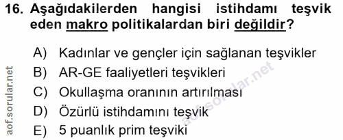 16. soru: Aşağıdakilerden hangisi istihdamı teşvik eden makro politikalardan biri değildir? A) Kadınlar ve gençler için sağlana…