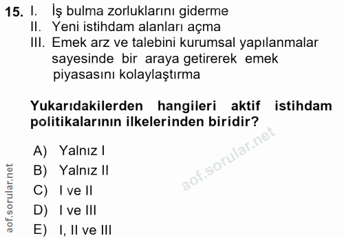 15. soru: 1. İş bulma zorluklarını giderme II. Yeni istihdam alanları açma III. Emek arz ve talebini kurumsal yapılanmalar saye…