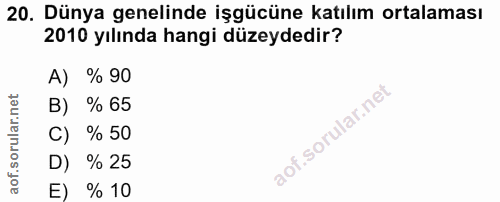 20. soru: Dünya genelinde işgücüne katılım ortalaması 2010 yılında hangi düzeydedir? A) % 90 B) % 65 C) % 50 D) % 25 E) % 10