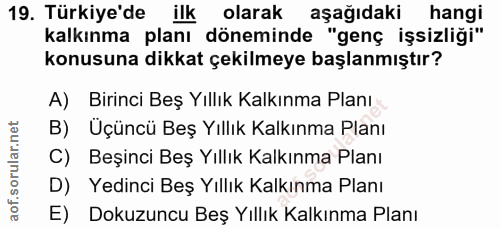 19. soru: Türkiye'de ilk olarak aşağıdaki hangi kalkınma planı döneminde "genç işsizliği" konusuna dikkat çekilmeye başlanmıştı…