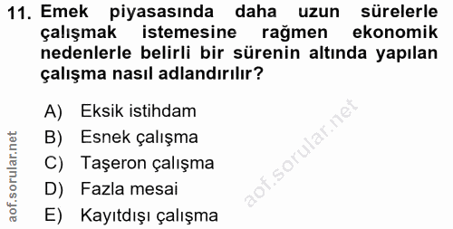 11. soru: Emek piyasasında daha uzun sürelerle çalışmak istemesine rağmen ekonomik nedenlerle belirli bir sürenin altında yapıl…