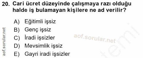 20. soru: Cari ücret düzeyinde çalışmaya razı olduğu halde iş bulamayan kişilere ne ad verilir? A) Eğitimli işsiz B) Genç işsiz…