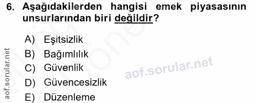 6. soru: Aşağıdakilerden hangisi emek piyasasının unsurlarından biri değildir? A) Eşitsizlik B) Bağımlılık C) Güvenlik D) Güve…