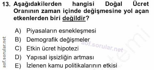 13. soru: Aşağıdakilerden hangisi Doğal Ücret Oranının zaman içinde değişmesine yol açan etkenlerden biri değildir? A) Piyasala…