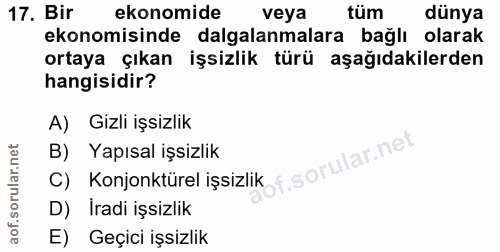 17. soru: Bir ekonomide veya tüm dünya ekonomisinde dalgalanmalara bağlı olarak ortaya çıkan işsizlik türü aşağıdakilerden hang…
