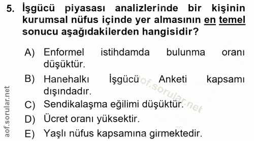 5. soru: İşgücü piyasası analizlerinde bir kişinin kurumsal nüfus içinde yer almasının en temel sonucu aşağıdakilerden hangisi…