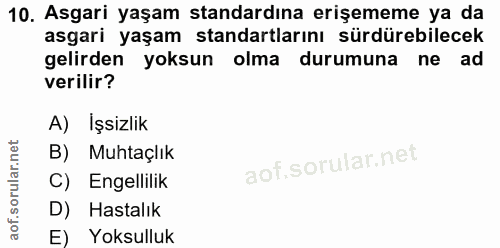 10. soru: Asgari yaşam standardına erişememe ya da asgari yaşam standartlarını sürdürebilecek gelirden yoksun olma durumuna ne…