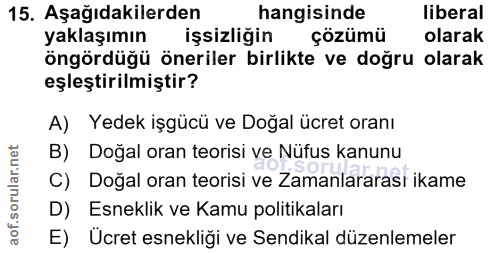 15. soru: Aşağıdakilerden hangisinde liberal yaklaşımın işsizliğin çözümü olarak öngördüğü öneriler birlikte ve doğru olarak eş…