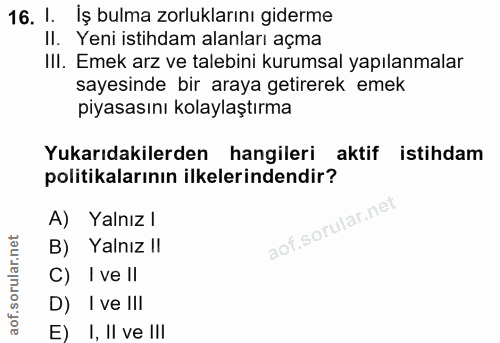 16. soru: 1. İş bulma zorluklarını giderme II. Yeni istihdam alanları açma III. Emek arz ve talebini kurumsal yapılanmalar saye…