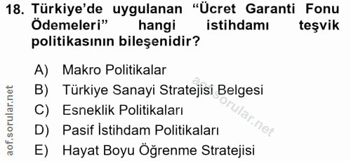 18. soru: Türkiye'de uygulanan "Ücret Garanti Fonu Odemeleri" hangi istihdamı teşvik politikasının bileşenidir? A) Makro Politi…