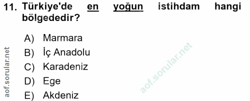 11. soru: Türkiye'de en yoğun istihdam hangi bölgededir? A) Marmara B) Iç Anadolu C) Karadeniz D) Ege E) Akdeniz