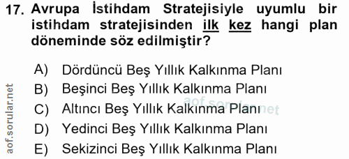 17. soru: Avrupa İstihdam Stratejisiyle uyumlu bir istihdam stratejisinden ilk kez hangi plan döneminde söz edilmiştir? A) Dörd…
