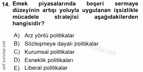 14. soru: Emek piyasalarında beşeri sermaye düzeyinin artışı yoluyla uygulanan işsizlikle mücadele stratejisi aşağıdakilerden h…
