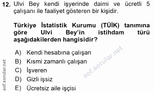 12. soru: Ulvi Bey kendi işyerinde daimi ve ücretli 5 çalışanı ile faaliyet gösteren bir kişidir. Türkiye İstatistik Kurumu (TU…