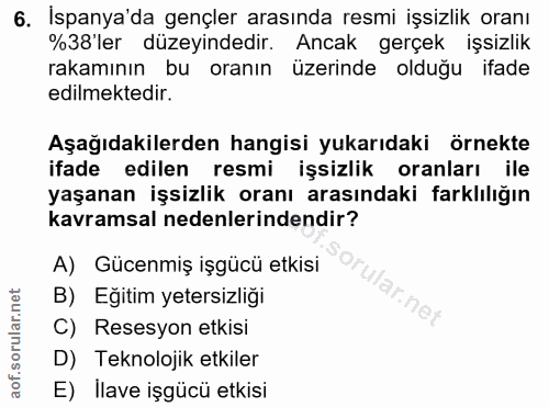 6. soru: Ispanya'da gençler arasında resmi işsizlik oranı %38'ler düzeyindedir. Ancak gerçek işsizlik rakamının bu oranın üzer…