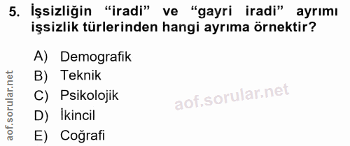 5. soru: İşsizliğin "iradi" ve "gayri iradi" ayrımı işsizlik türlerinden hangi ayrıma örnektir? A) Demografik B) Teknik C) Psi…
