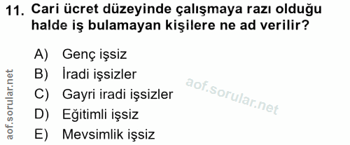 11. soru: Gari ücret düzeyinde çalışmaya razı olduğu halde iş bulamayan kişilere ne ad verilir? A) Genç işsiz B) Iradi işsizler…