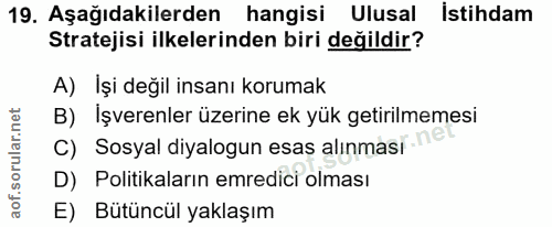 19. soru: Aşağıdakilerden hangisi Ulusal istihdam Stratejisi ilkelerinden biri değildir? A) Işi değil insanı korumak B) İşveren…