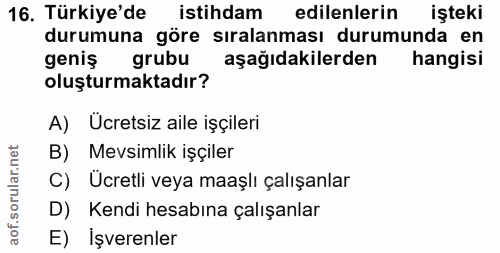 16. soru: Türkiye'de istihdam edilenlerin işteki durumuna göre sıralanması durumunda en geniş grubu aşağıdakilerden hangisi olu…