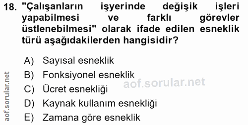 18. soru: "Çalışanların işyerinde değişik işleri yapabilmesi ve farklı görevler üstlenebilmesi" olarak ifade edilen esneklik tü…