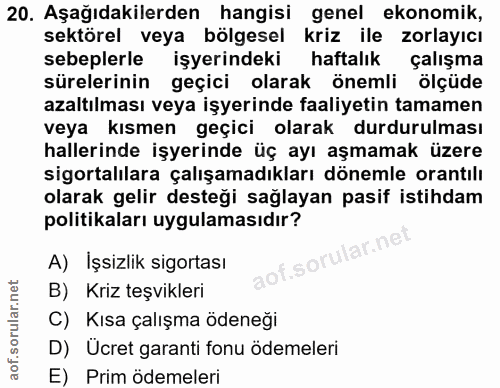 20. soru: Aşağıdakilerden hangisi genel ekonomik, sektörel veya bölgesel kriz ile zorlayıcı sebeplerle işyerindeki haftalık çal…