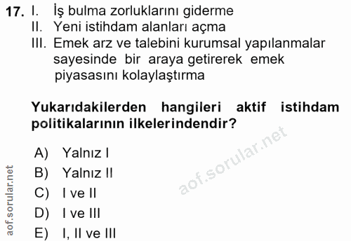 17. soru: 1. Iş bulma zorluklarını giderme II. Yeni istihdam alanları açma IIl. Emek arz ve talebini kurumsal yapılanmalar saye…